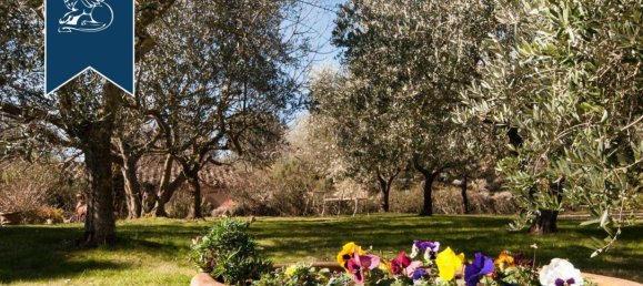 5غرفة فندق في Montepulciano, Italy رقم 297948 12