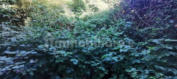 2 bedrooms Apartment in Rho, Italy No. 371803 7