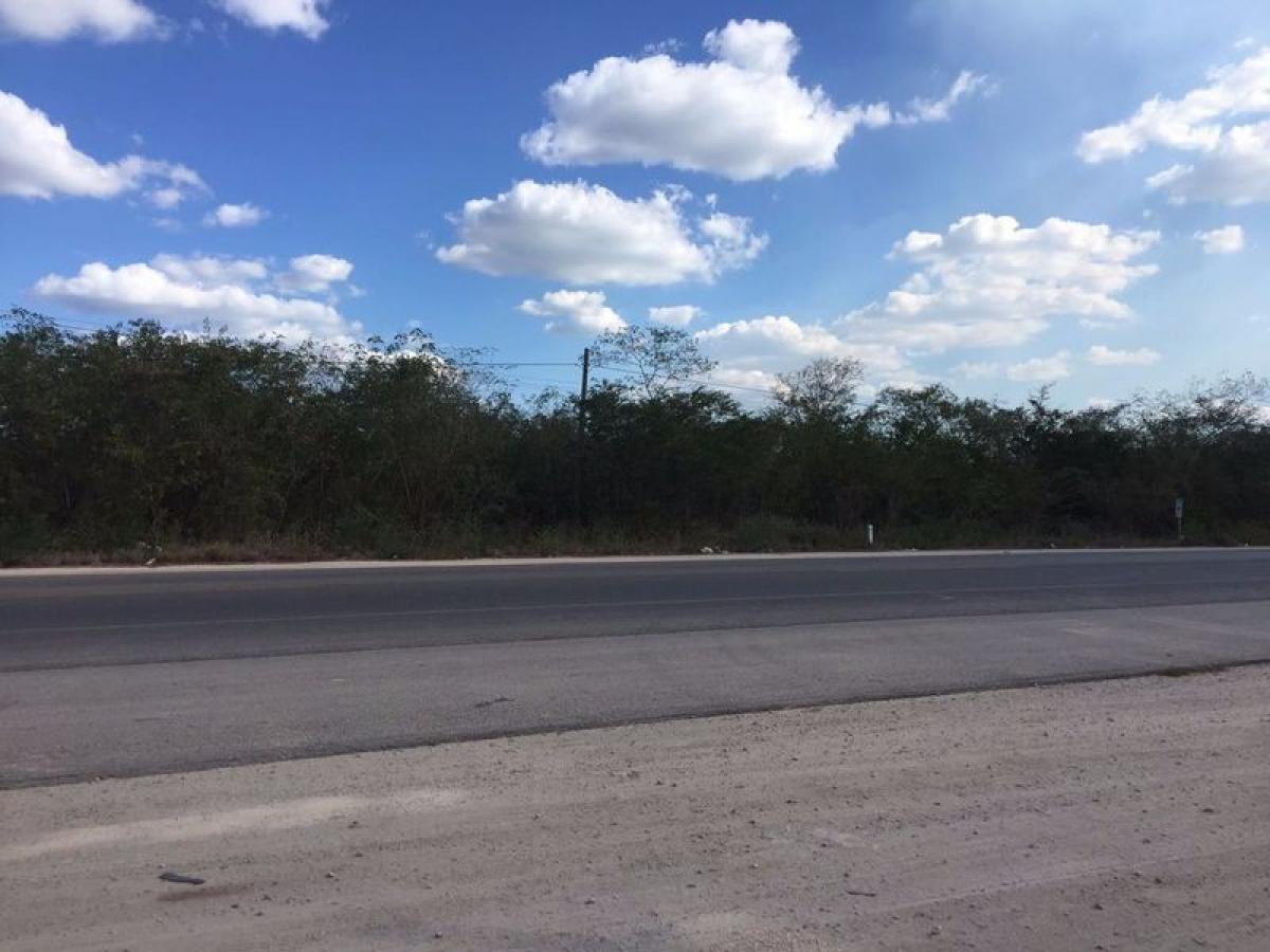 Edifício em Solidaridad, Mexico 51000 m² N.º 200063