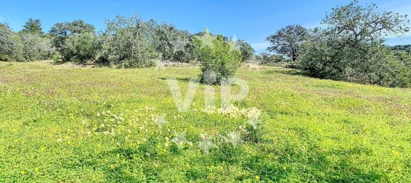 4 غرف نوم قطعة أرض في Loule, Portugal رقم 110300 3