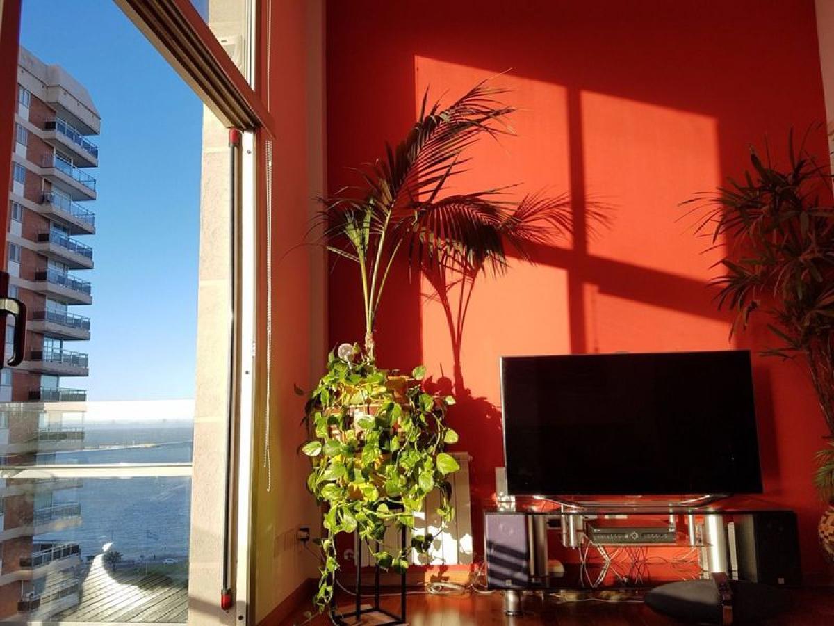 2 chambres Appartement à Mar del Plata, Argentina No. 100273