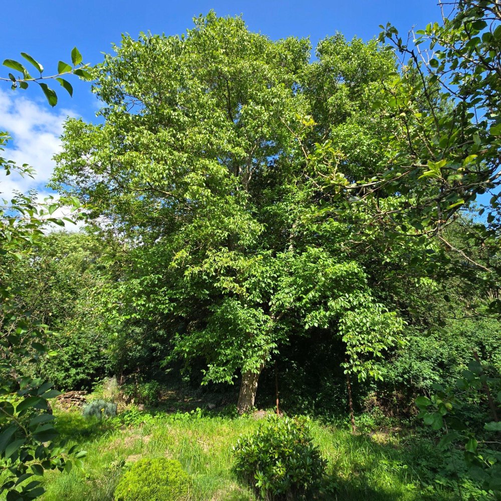 Grundstück in Prignitz, Germany, Nr. 358335