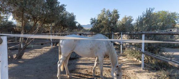 1 غرف نوم منزل في La Zubia, Spain رقم 168912 42