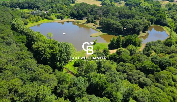 8-salle Maison à Landes, France No. 299491