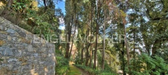 5 rooms Apartment in Zoagli, Italy No. 107013 19