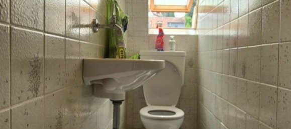 5غرفة بناية في Enzkreis, Germany رقم 11896 8