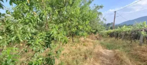 3 chambres Maison à Almeria, Spain No. 139562 20