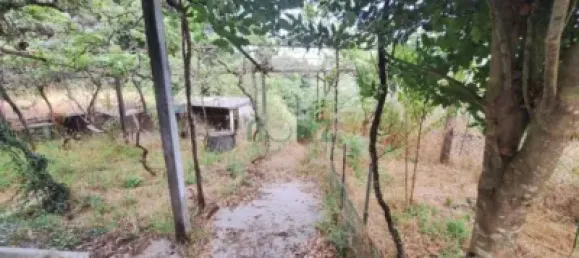 3 chambres Maison à Almeria, Spain No. 139562 22