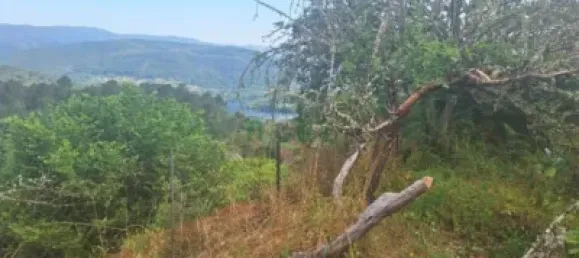 3 chambres Maison à Almeria, Spain No. 139562 21