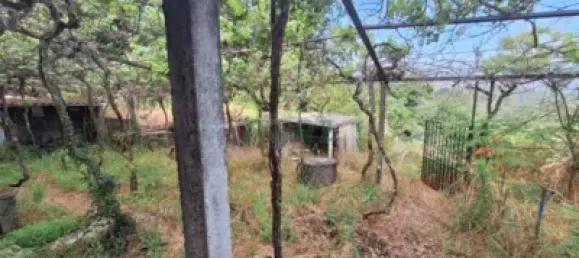 3 chambres Maison à Almeria, Spain No. 139562 25