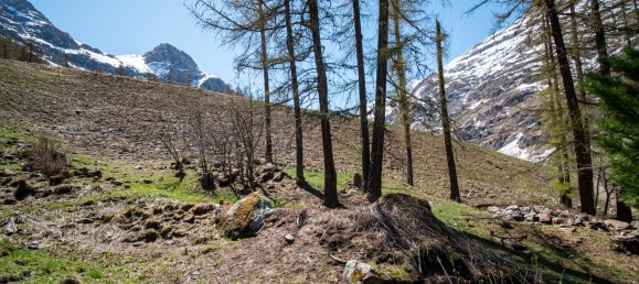4 Schlafzimmer Haus in Anniviers, Switzerland, Nr. 209 28