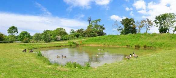 1 Schlafzimmer Bungalow in Romford, United Kingdom, Nr. 3977 2