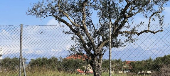  Hotel in Zakynthos, Greece No. 8694 9