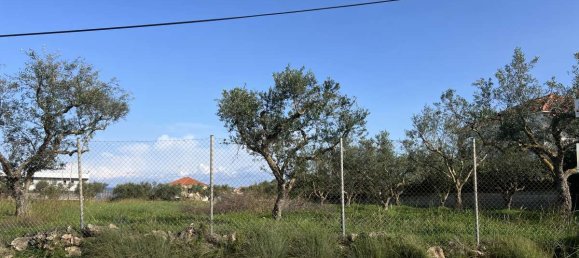  Hotel in Zakynthos, Greece No. 8694 6