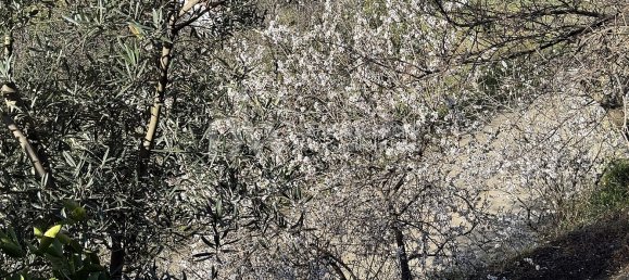 3 Schlafzimmer Haus in Cutar, Spain, Nr. 23664 38