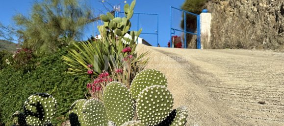 3 Schlafzimmer Haus in Cutar, Spain, Nr. 23664 40