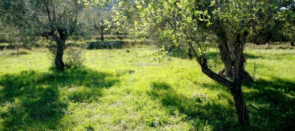 Terreno en Guadalest, Spain 40 m² No. 108975 43