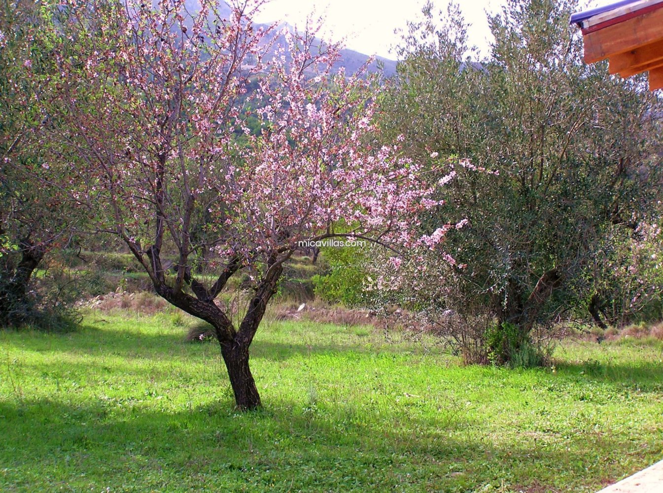 Terreno en Guadalest, Spain 40 m² No. 108975