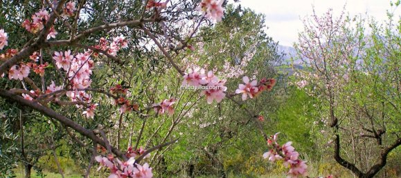 Terreno en Guadalest, Spain 40 m² No. 108975 62