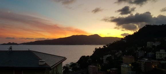 4 bedrooms Apartment in Zoagli, Italy No. 342219 24