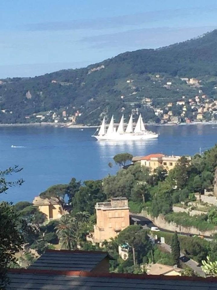 4 bedrooms Apartment in Zoagli, Italy No. 342219