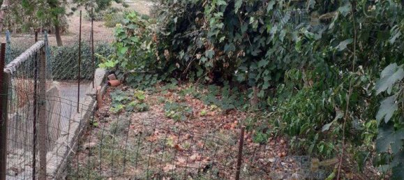 3 rooms Apartment in Capannoli, Italy No. 200443 16