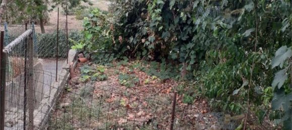 3 rooms Apartment in Capannoli, Italy No. 200443 12