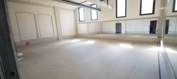 5 rooms Commercial property in Chieri, Italy No. 347928 3
