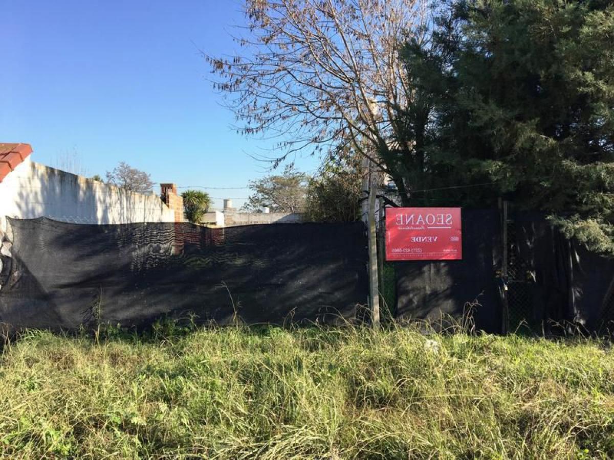 Terrain à Campo Creado, Argentina No. 45497