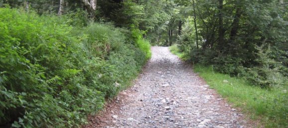 7-Zimmer Haus in Schignano, Italy, Nr. 72023 20