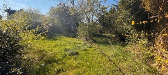 4 غرف نوم منزل في Villemomble, France رقم 356379 13