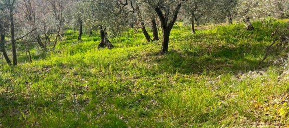 3 rooms House in Fondi, Italy No. 35669 16