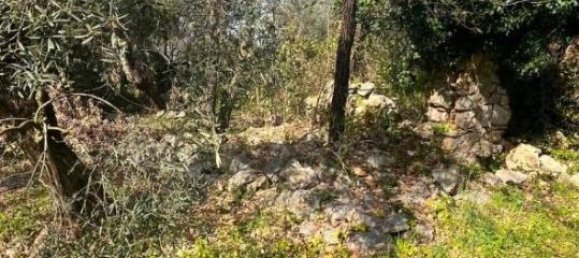 3 rooms House in Fondi, Italy No. 35669 18