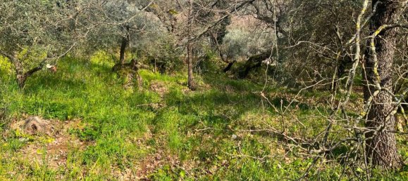 3 rooms House in Fondi, Italy No. 35669 9