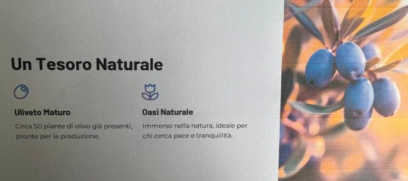 3 rooms House in Fondi, Italy No. 35669 17