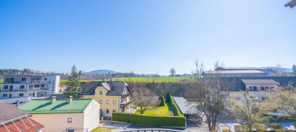 3 rooms Apartment in Neumarkt am Wallersee, Austria No. 158265 12