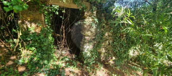 4 Schlafzimmer Haus in Mortagua, Portugal, Nr. 168925 28