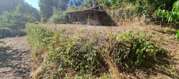 4 Schlafzimmer Haus in Mortagua, Portugal, Nr. 168925 31