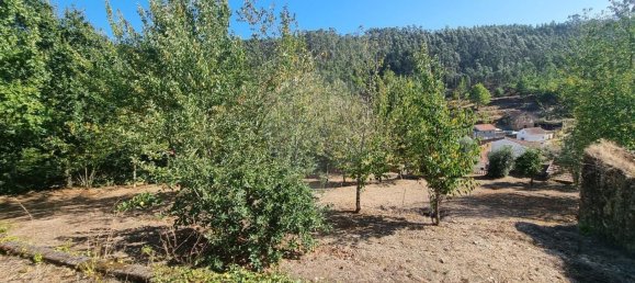4 Schlafzimmer Haus in Mortagua, Portugal, Nr. 168925 26