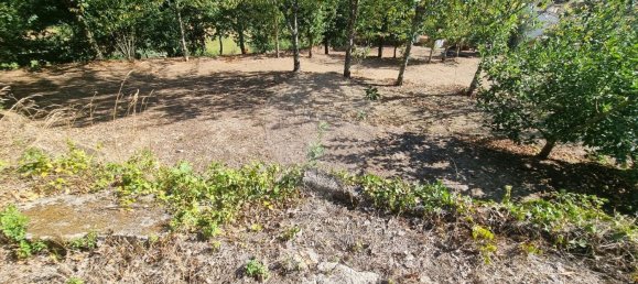 4 Schlafzimmer Haus in Mortagua, Portugal, Nr. 168925 25