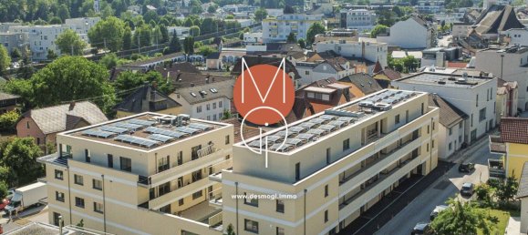 Gewerbliche Immobilie in Grieskirchen, Austria 104m², Nr. 230642 5