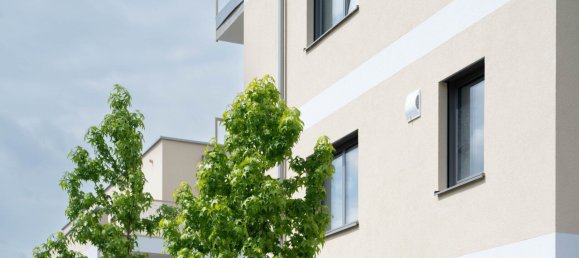 Gewerbliche Immobilie in Grieskirchen, Austria 104m², Nr. 230642 16