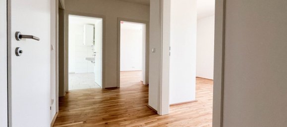 Gewerbliche Immobilie in Grieskirchen, Austria 104m², Nr. 230642 12