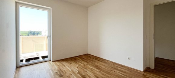 Gewerbliche Immobilie in Grieskirchen, Austria 104m², Nr. 230642 6