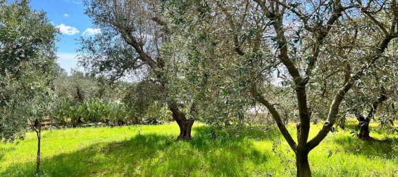 2غرفة منزل في Ostuni, Italy رقم 82598 29