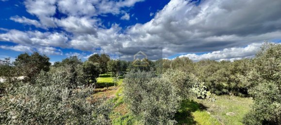 2غرفة منزل في Ostuni, Italy رقم 82598 25