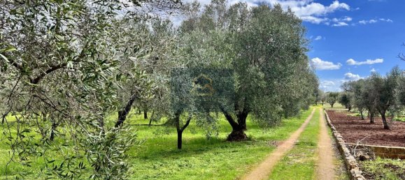 2غرفة منزل في Ostuni, Italy رقم 82598 26