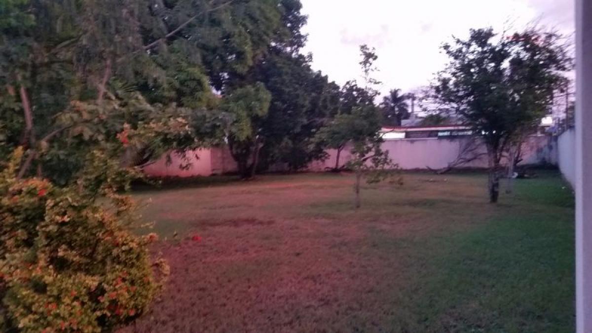 6 bedrooms House in Yucatan, Mexico No. 175588