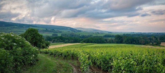 Terreno T10 em Barberino di Mugello, Italy N.º 371780 9