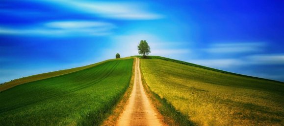 Terreno T10 em Barberino di Mugello, Italy N.º 371780 10